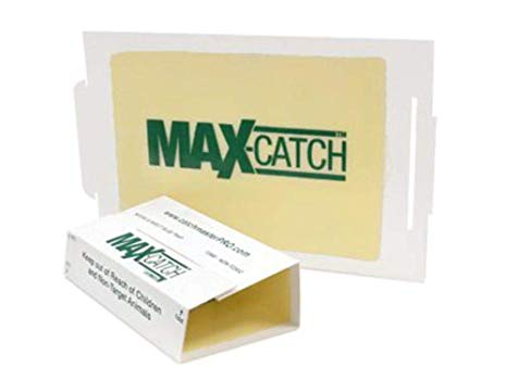Catchmaster 72MAX Pest Trap, White