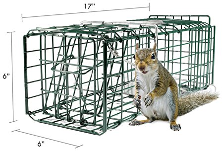 Parker 8 Live Animal Trap 17" X 6" X 6" Catch & Release Rodent Cage - Highly Efficient Professional Humane Solution for Rabbit, Squirrel, Mole, Gopher, Skunk & Chipmunks Steel