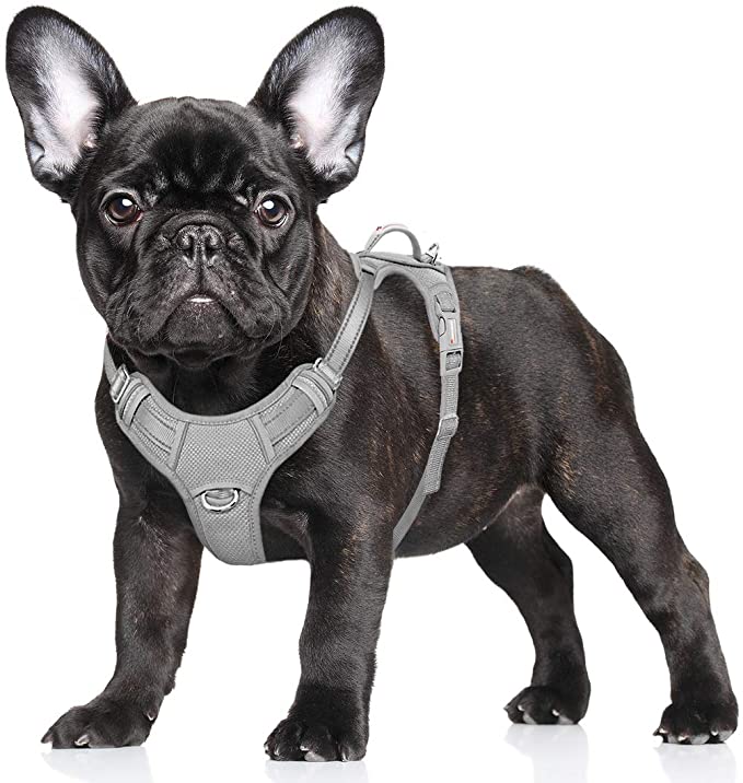 BARKBAY No Pull Dog Harness Large Step in Reflective Dog Harness with Front Clip and Easy Control Handle for Walking Training Running with ID tag Pocket(Grey,S)