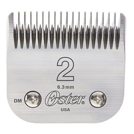 Oster Professional 76918-126 Replacement Blade,  Classic 76/Star-Teq/Power-Teq Clippers, Size #2, 1/4" (6.3mm)