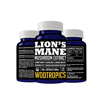 Lion’s Mane Mushroom Extract Capsules Increase Neurogenesis, Reduce Anxiety, Enhance Neurological Connections - Nootropic for Enhancing Mental Performance by WodTropics
