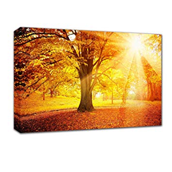 Canvas Wall Art Sunshine Tree Painting - 12x16 inch Green and Yellow fall Jungle Forest Giclee Canvas Print Home Decoration for bedroom Easy to Hang With Framed Wall Pictures for Bathroom Modern Decor