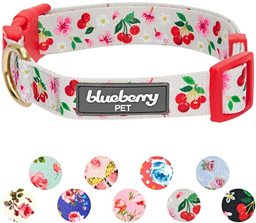Blueberry Pet 20  Patterns Spring Scent Floral Collection - Collars, Martingale Collars, Harnesses or Leashes for Dogs, Matching Lanyards for Pet Lovers, Personalized for Collars