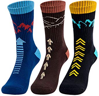 Time May Tell Mens Hiking Athletic Socks Moisture Wicking Cushion Crew Socks for Terkking,Outdoor Sports,Performance 2/3 Pack