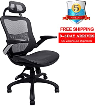 Ergousit High Back Ergonomic Office Chair Mesh Desk Chairs Adjustable Office Chair with Breathable Backrest, Headrest, Armrest and Seat Height for Conference Room (Black) (CU-900AH)