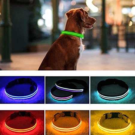 PPWW Light Up Dog Collars - Dog Collar Light - Dog Collar - Led Dog Collar - USB Rechargeable and Waterproof, Makes Your Dog Safe and Seen