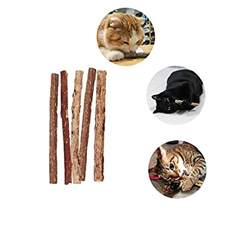 Imported Asiatic Catnip Sticks - Cat's Easter gift Silvervine Cat Treats - Pack of 5 Cat Nip Toys by Atlantic