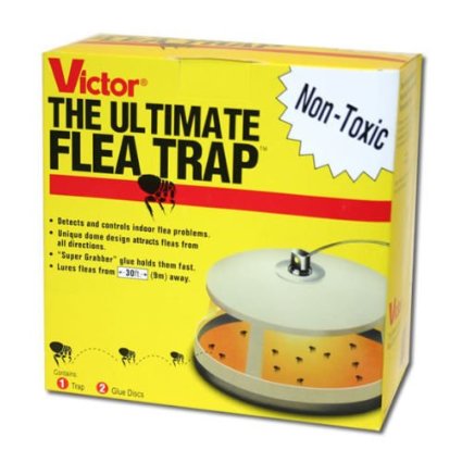 Victor M230 Ultimate Flea Insect Trap Keep Your Pets Happy & Your Home Flea Free