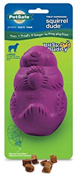 PetSafe Busy Buddy Squirrel Dude Dog Toy