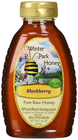 Winter Park Honey Blackberry Honey (Pure Natural Raw Honey) 16oz