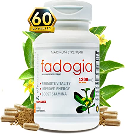 VH Nutrition FADOGIA AGRESTIS | 1200mg Per Serving | Mens Hormonal Support | 60 Capsules