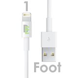 Apple MFI Certified Beam ElectronicsTM Lifetime Guarantee iPhone 5 and 6 Charging Cable 8 Pin to USB Lightning Cable DataSync Cable and Charger for Apple iPhone 5 5S 6 6 Plus etc1 Foot 1 Pack