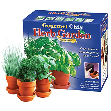 Chia Gourmet Herb Garden