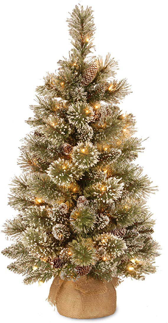 National Tree 3 Foot Glittery Bristle Pine Tree with 7 White Tipped Cones and 35 Warm White Battery Operated LED Lights with Timer in Burlap (GB3-392-30-B1)