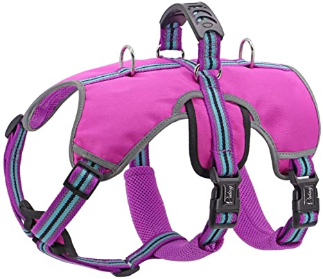 Didog Escape Proof Dogs Harness,Soft Breathable Padded & Reflective,Adjustable No Pull Dog Harness with Lift Handle & Double Leash Clips for Medium Large Dogs Walking Hiking Training,Purple,M