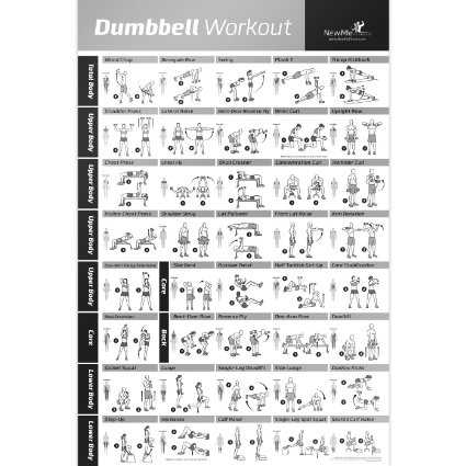 Dumbbell Workout Exercise Poster - Strength Training Chart - Build Muscle, Tone & Tighten - Home Gym Weight Lifting Routine - Your Guide to Body Building with Free Weights & Resistance - 20"x30"