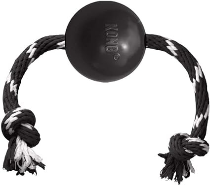 Kong Company 38735642: Extreme Ball with Rope Dog Toy, Lg