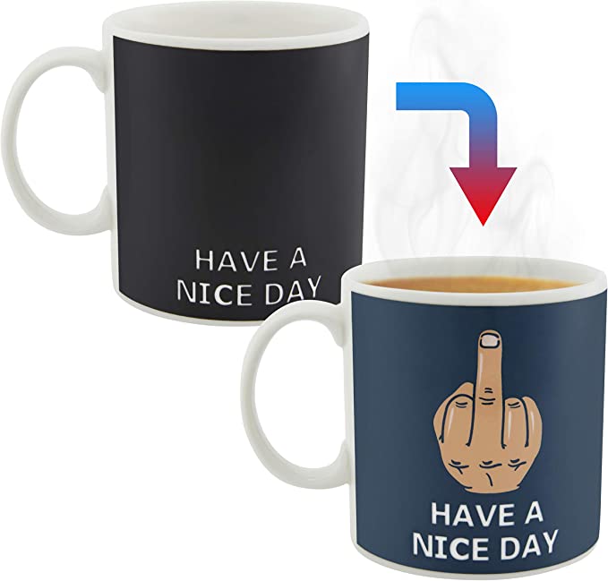 Decodyne Have a Nice Day Coffee Mug, Funny Cup with Middle Finger on the Bottom 14 oz., White Elephant Gifts for Adults (Black/ Blue)