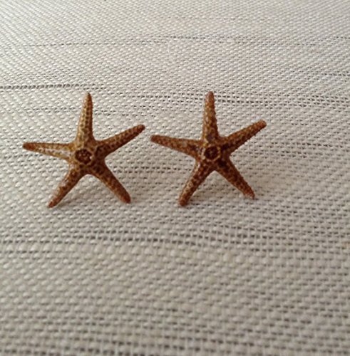 Beach earrings - Real Starfish earrings - Florida Starfish - hypoallergenic - nickel free - Starfish post earrings - souvenirs - Florida vacations