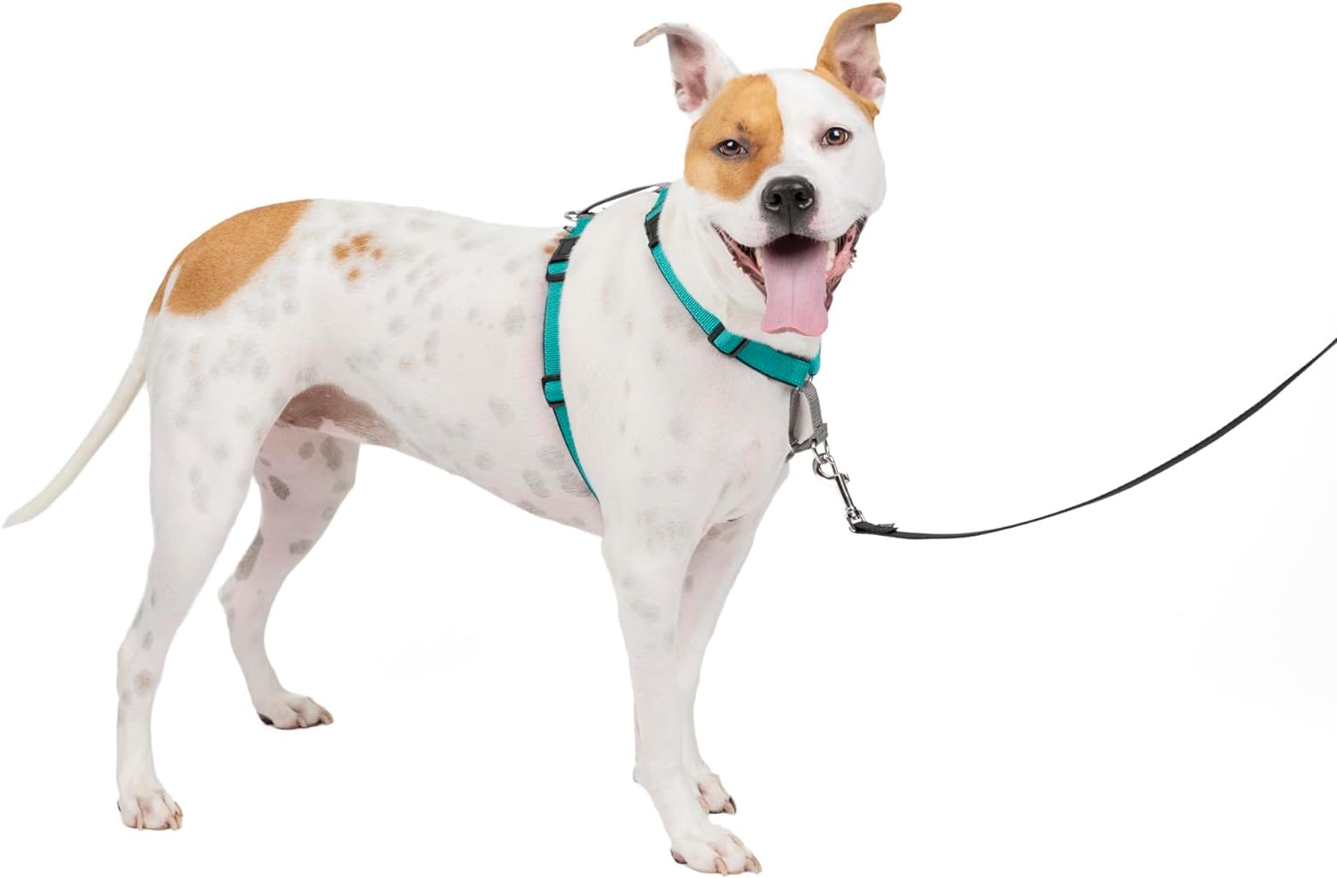 PetSafe 3in1 Harness, from the Makers of the Easy Walk Harness