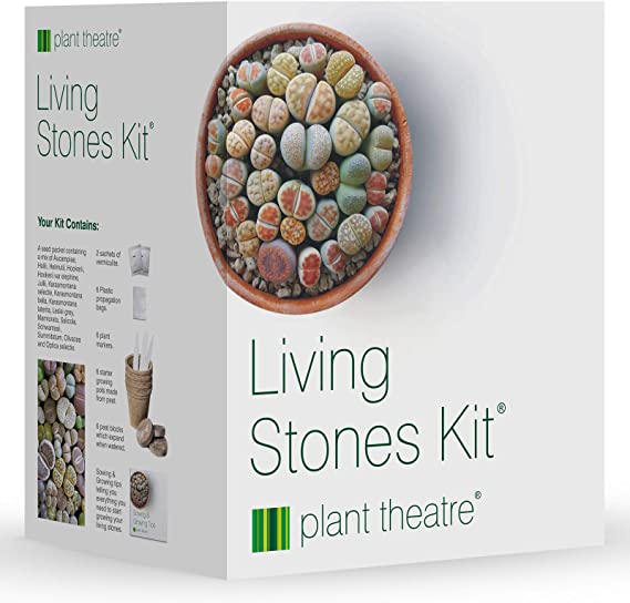 Plant Theatre Living Stones Kit - Lithops Gift Seed Kit - Everything You Need in one Box to Grow These Unusual Plant Varieties from Seed