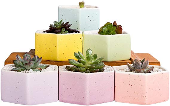 Mkono Set of 6 Ceramic Small Plant Pots 3 Inches Succulent Planters Indoor, Hexagon