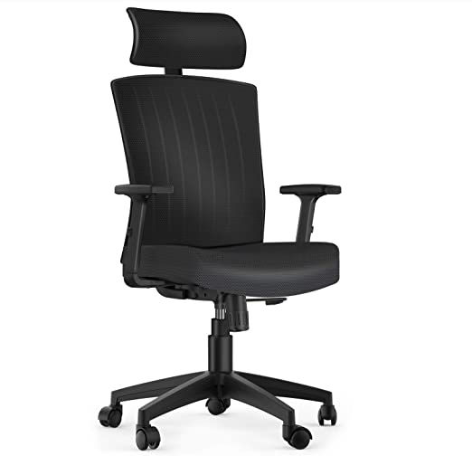Ergousit Ergonomic Office Chair with Lumbar Support, Pneumatic seat-Height Adjustment, mesh Design of This Chair at The Back Helping to Keep You Cool and Cozy at Your Work (172B)