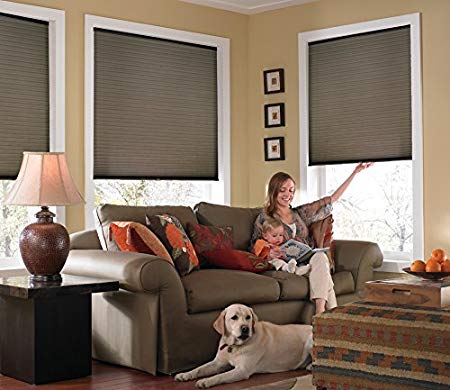 Windowsandgarden Custom Cordless Single Cell Shades, 29W x 40H, Espresso, Any Size from 21" to 72" Wide and 24" to 72" high Available