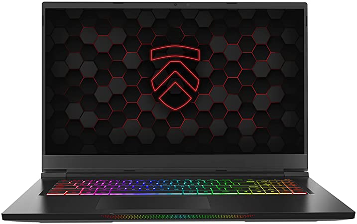 Eluktronics MAX 17 (2021) 17.3" RTX 3070 Gaming Laptop, AMD Ryzen 9 5900HX Processor, NVIDIA GeForce RTX 3070 Graphics Card, 17.3 inch QHD 165Hz Display, 1TB NVMe SSD, 16GB DDR4 RAM, Windows 10 Home