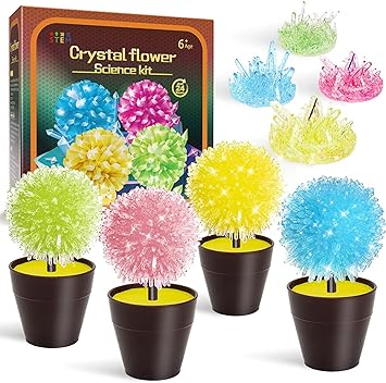 Crystal Growing Craft Kits for Kids, Educational Gifts for 6 7 8 9 10 Years Old Girls&Boys. Science kits for kids Age 6