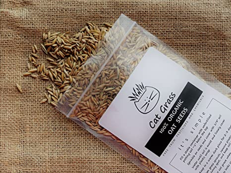 Simple Cat Grass | 100% US Organic Oat Seeds | Show Your Love with a Healthy Pet Treat and Snack (4 Ounce (~3200 Seeds))