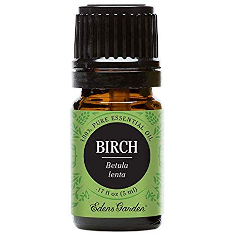 Edens Garden Birch Essential Oil, 100% Pure Therapeutic Grade Aromatherapy Oils- Massage & Pain, 5 ml