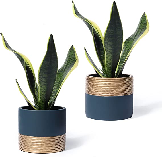 Cement Planters Pots for Plants Indoor - 5 Inch Concrete Succulent Flowerpot Bonsai Container with Drainage Holes(POTEY 054904, Set of 2, Plant NOT Included)