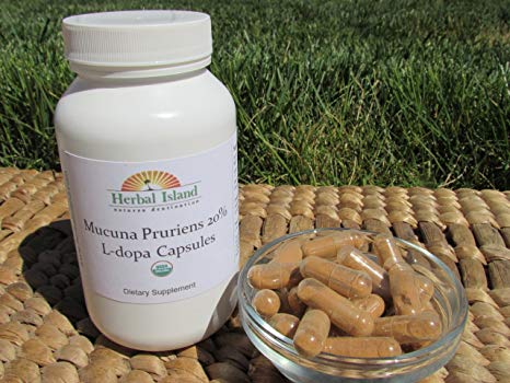 Mucuna Pruriens - Organic (120 Count Capsules 500mg Each) 20%L-Dopa Velvet Bean with Free Shipping