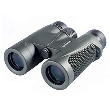 ReHaffe Travel Binoculars 8x32, Compact Waterproof Binoculars Image Stabilized Powerview Lightweight for Outdoor Sightseeing Hiking Hunting Bird Watching (Army Green)