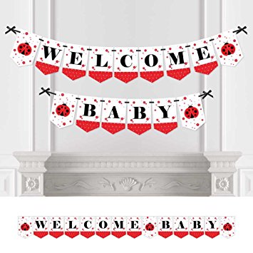 Modern Ladybug - Baby Shower Bunting Banner - Ladybug Party Decorations - Welcome Baby