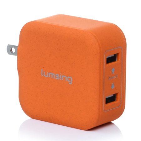 Lumsing USB Wall Charger 2-Port Travel Adapter with Foldable Plug and for Smartphones TabletsOrange