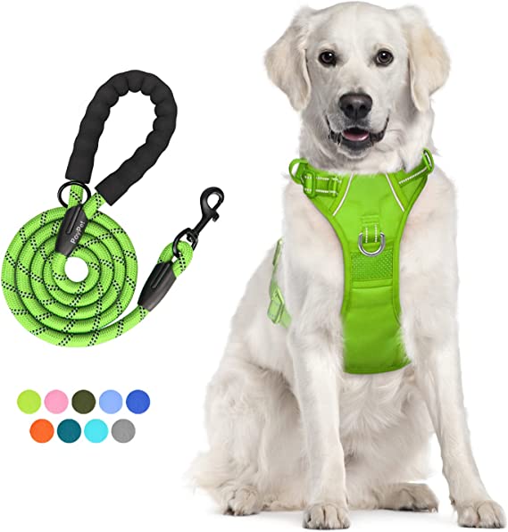 PoyPet Dog Harness and Leash Combo, Escape Proof No Pull Vest Harness, Reflective Adjustable Soft Padded Pet Harness with Handle for Small to Large Dogs