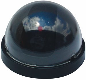 Dome Dummy Camera with Flashing LED DM-DOML-1E