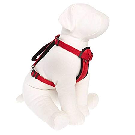 KONG Comfort Padded Harness Red Medium