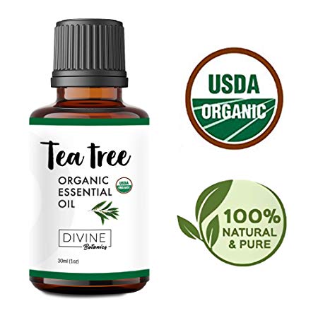 Divine Botanics USDA Organic Tea Tree Essential Oil for Diffuser and Aromatherapy Pure and Natural Tea Tree Oil For Face Acne Skin Tags Hair and Scalp Therapeutic Grade Anti Dandruff Nail Fungus Feet