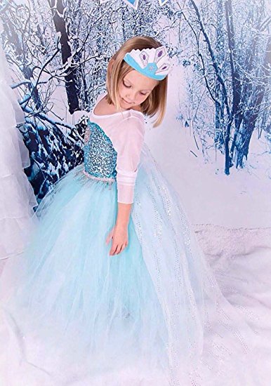FE10 Lace Elsa Dress Girl Halloween Costume Party 2T-10 USA