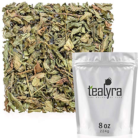 Tealyra - Pure Peppermint - Herbal Loose Leaf Tea - Best Egyptian Mint - Supports Digestive Health - Soothing Anti-Inflammatory - Caffeine Free - 224g (8-ounce)