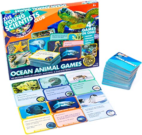 The Young Scientist Ocean Animal Card Games, 4 Card Games in 1, Matching, Bingo, Memory, Trivia, Hands-On Educational Fun, Homeschool Games