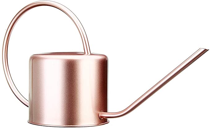 SODIAL 1300Ml Watering Can Metal Garden Stainless Steel for Home Flower Water Bottle Easy Use Handle for Watering Plant Long Mouth Garden Tool
