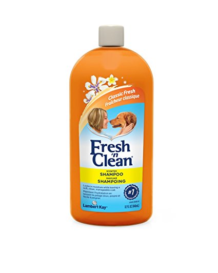 Fresh 'n Clean  Scented Shampoo