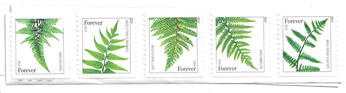 USPS Ferns Forever Stamps - 20 Stamps