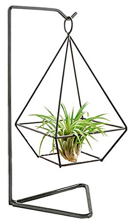 Mkono Air Plant Stand Holder Metal Airplant Tillandsia Hanger Tabletop Planter, Diamond