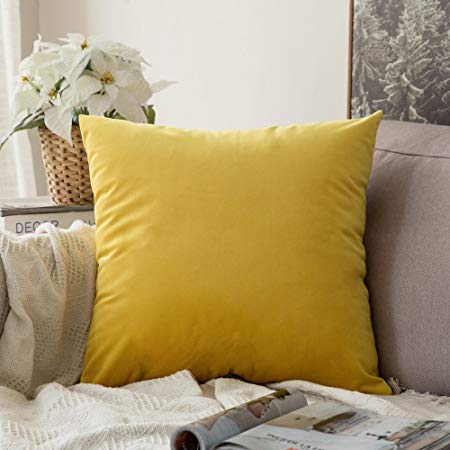 MIULEE Velvet Soft Soild Decorative Square Throw Pillow Covers Cushion Case for Sofa Bedroom Car 18 x 18 Inch 45 x 45 Cm