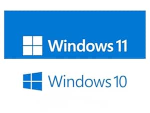 Windows 10 / 11 Pro License Key (1 User/PC, Lifetime Validity) | 32 bit/64 bit